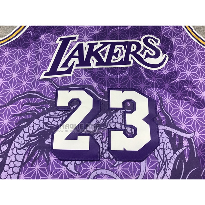 Maglia
 Lebron James NO 23 Los Angeles Lakers Throwback Asian Heritage 2018-19 Viola
